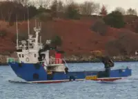 Arbetsbåtar till salu