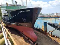 Ro-Ro ship till salu