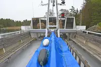 Kryssningsfartyg till salu