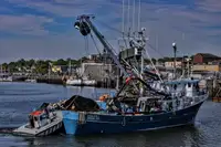 Purse seiner till salu