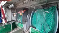 Levande fisktransportfartyg till salu