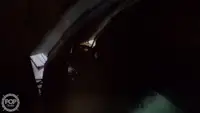 Trålare till salu