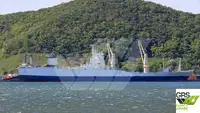 Ro-Ro ship till salu
