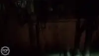 Trålare till salu