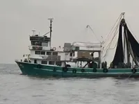 Purse seiner till salu