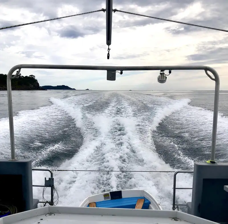 Forskningsfartyg till salu