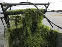 Tanker för länsvatten till salu