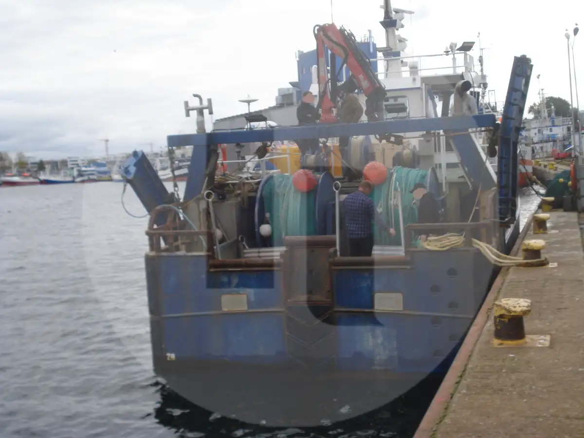 Levande fisktransportfartyg till salu