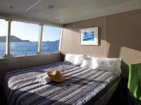 Katamaran till salu