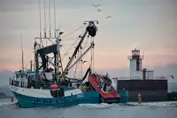 Purse seiner till salu