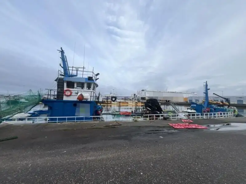 Arbetsbåtar till salu
