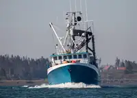Purse seiner till salu