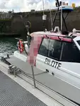 Lotsbåt till salu