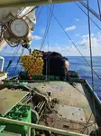 Purse seiner till salu