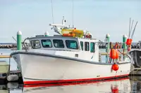 Purse seiner till salu