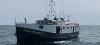 Bogserbåt till salu