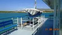 Ro-Ro ship till salu