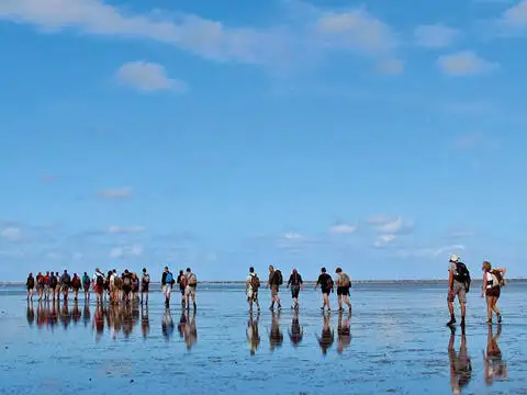 Pråm till salu