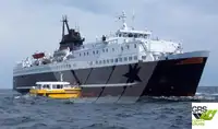 Ro-Ro ship till salu
