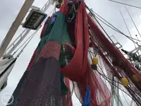Trålare till salu