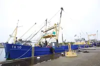 Kryssningsfartyg till salu