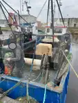 Levande fisktransportfartyg till salu