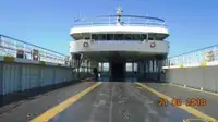 Ro-Ro ship till salu