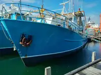 Trawler till salu