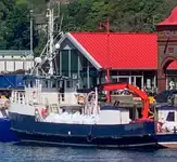 Arbetsbåtar till salu
