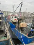 Levande fisktransportfartyg till salu