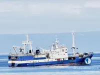 Trålare till salu