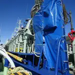 Purse seiner till salu