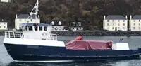 Arbetsbåtar till salu
