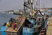 Purse seiner till salu