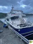 Kryssningsfartyg till salu