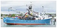 Purse seiner till salu