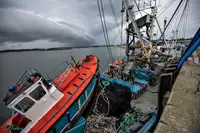 Purse seiner till salu