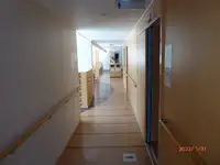 Färja till salu