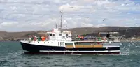 Purse seiner till salu