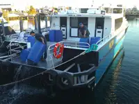 Katamaran till salu