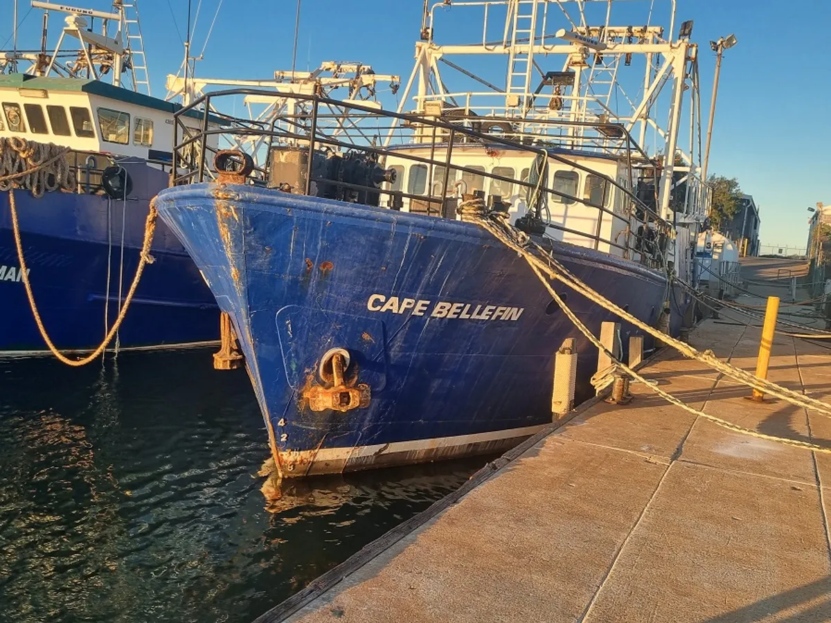 Trålare till salu