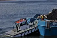 Purse seiner till salu