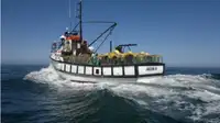 Trawler till salu