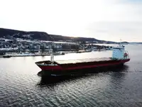 Bulkfartyg till salu