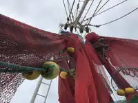 Trålare till salu