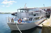 Passagerarfartyg till salu