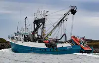 Purse seiner till salu