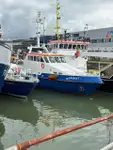 Patrullbåt till salu