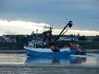 Purse seiner till salu