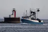 Purse seiner till salu